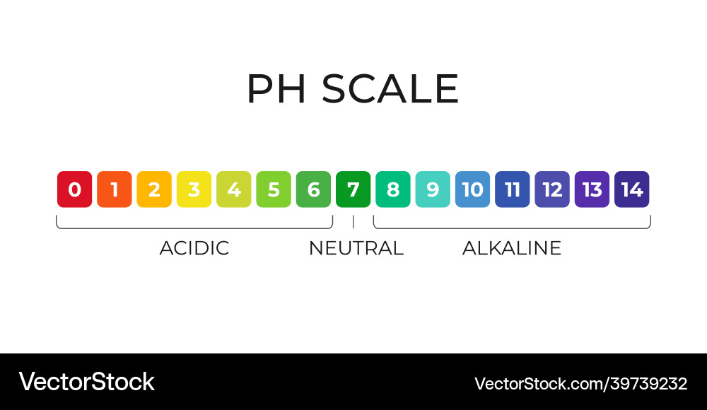 PH Value Scale Chart - Acid-Base Indicator vector image