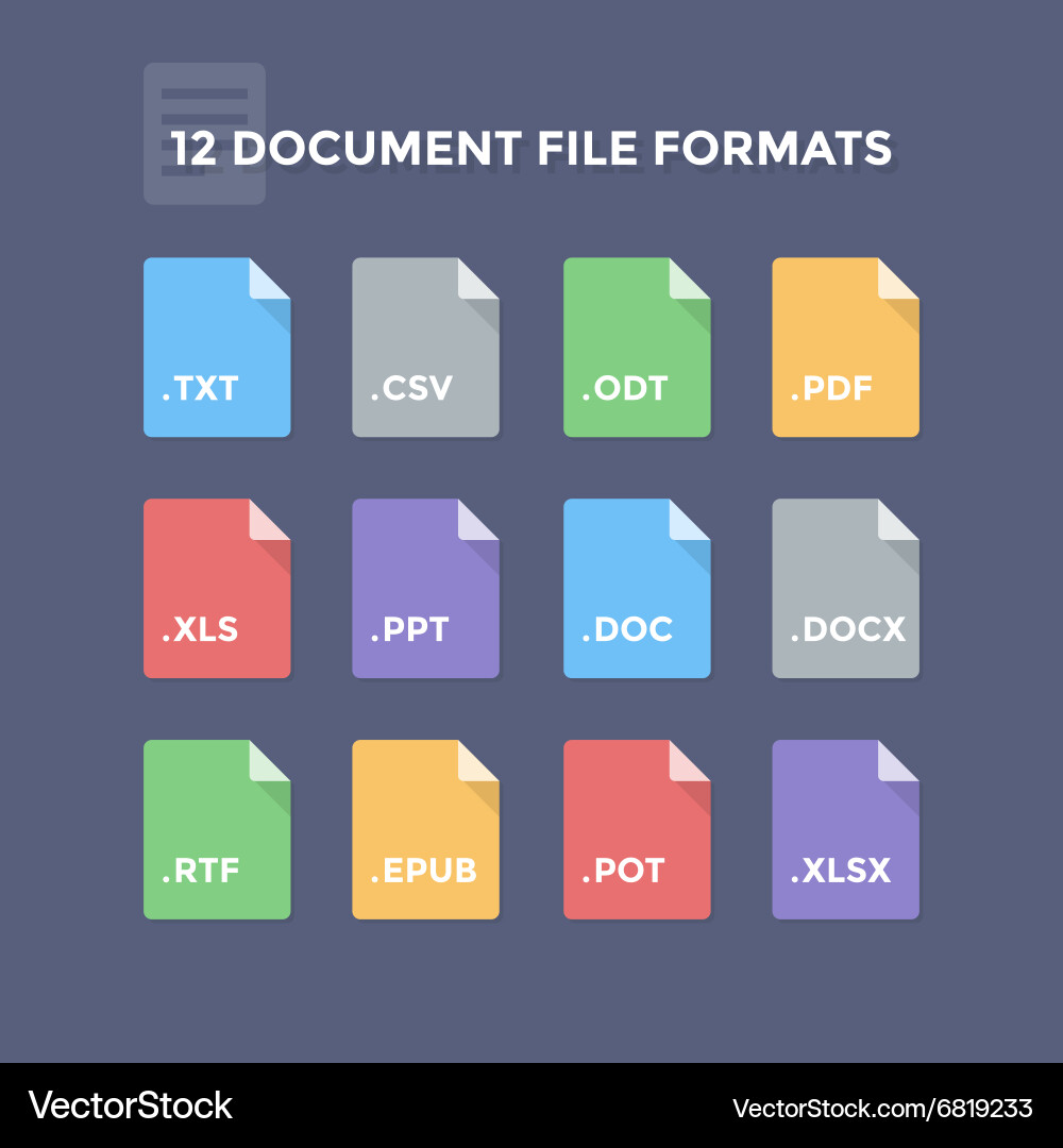 Office File Format Icons vector image