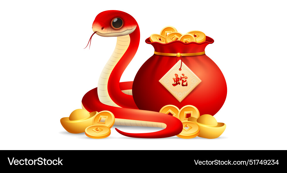 Year of the snake 2025 zodiac sign chinese new Vector Image