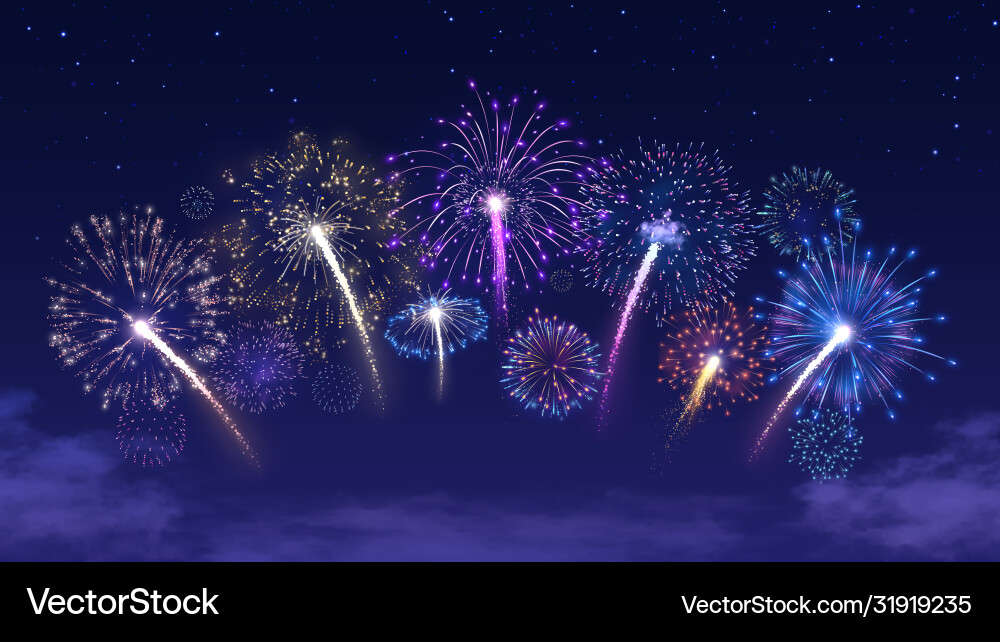 Spectacular Fireworks Night vector image