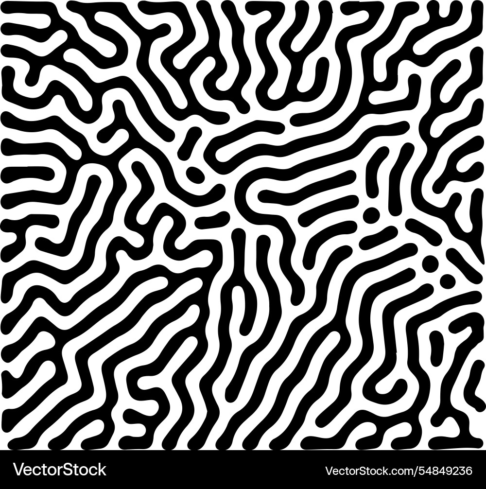 Black and white turing pattern with abstract lines Vector Image