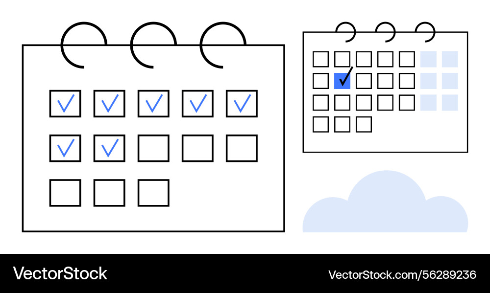 Calendar with checkmarks indicating task Calendar with checkmarks indicating task vector image