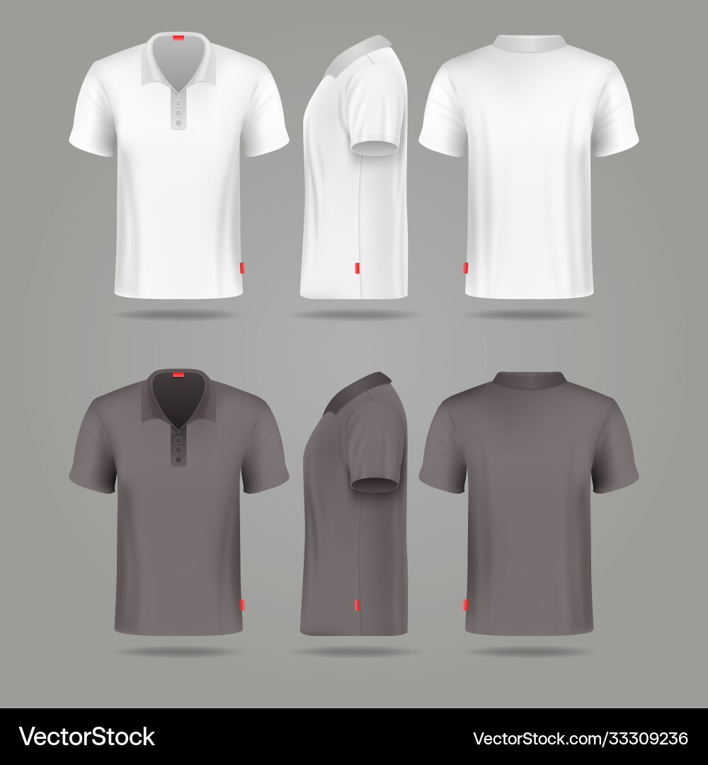 Mens Polo Shirt - Front, Back & Side Views vector image