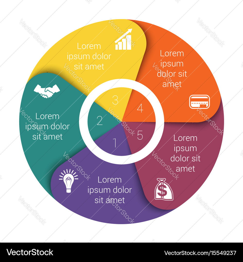 Circular Data Chart Infographic vector image