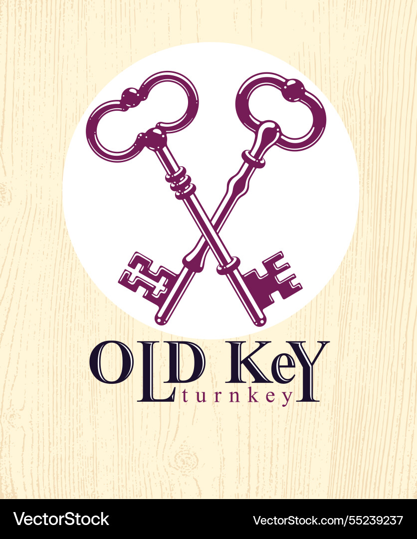 Crossed keys protected secret electronic data Crossed keys protected secret electronic data vector image