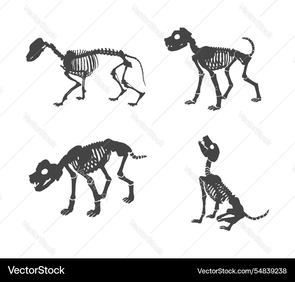 Hund Skeleton Silhouette Vektorbild