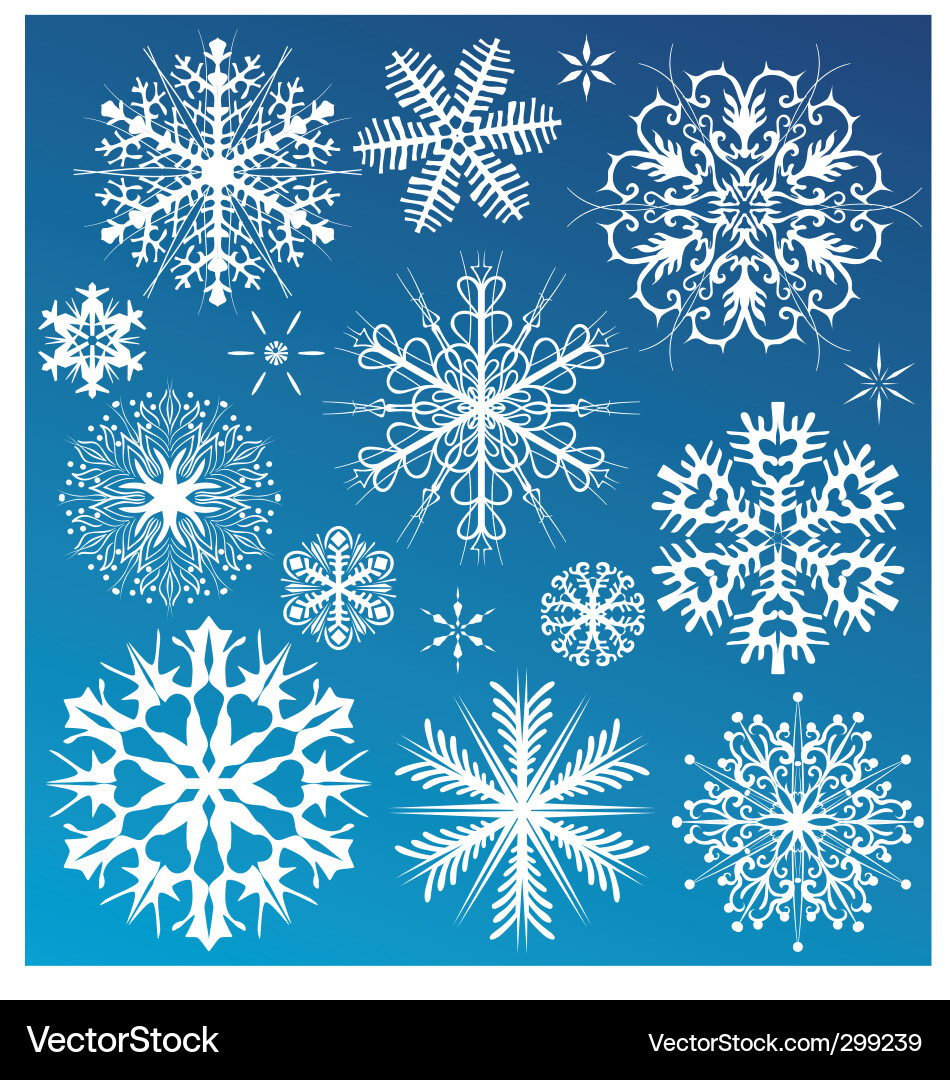 Snowflake Winter Collection vector image