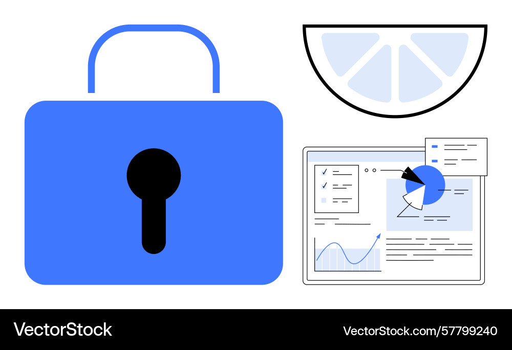 Data security concept with lock analytics charts vector image