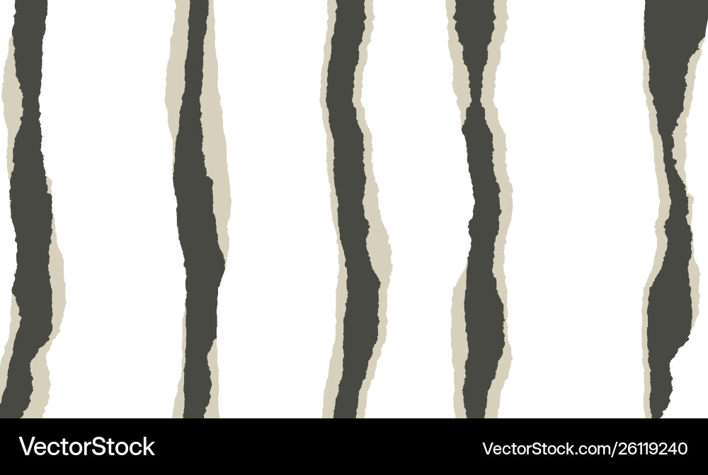 Torn Paper Strip Pattern vector image