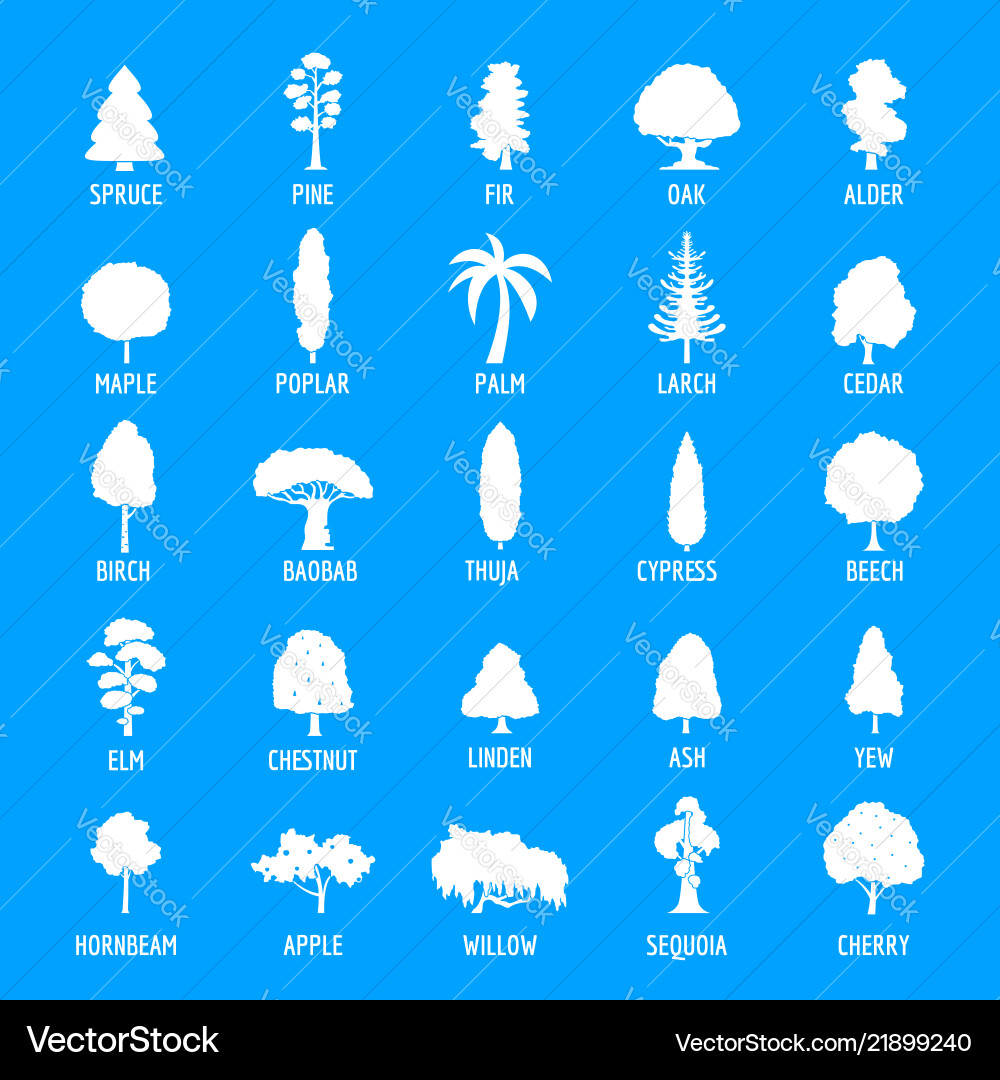 Tree icons set simple style Tree icons set simple style vector image