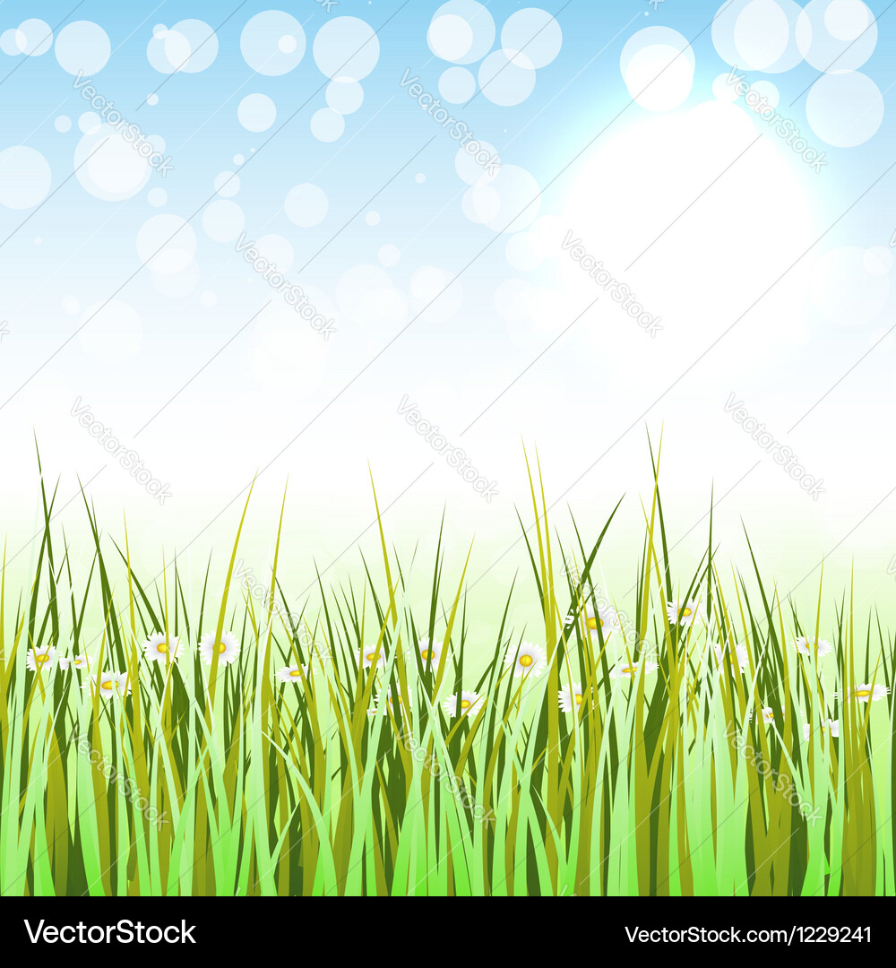 Spring background Vector Image