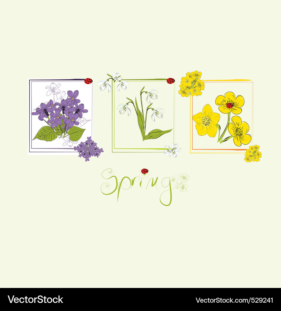 Spring card Vector Image