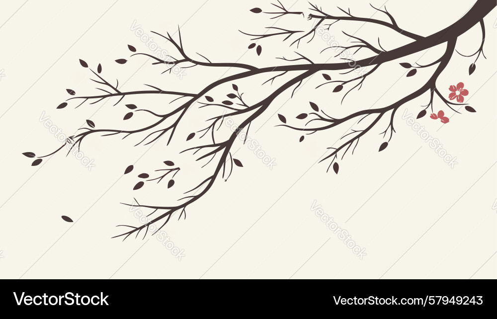 Sparse Branch with Delicate Flowers Vector Image