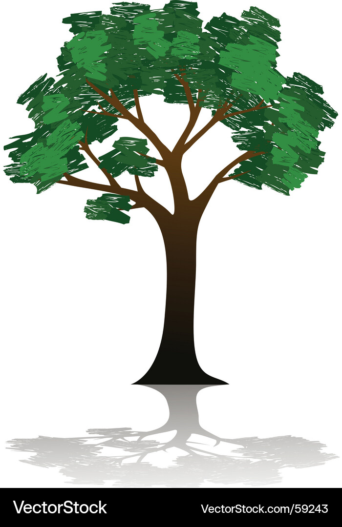 Tree Vector Image