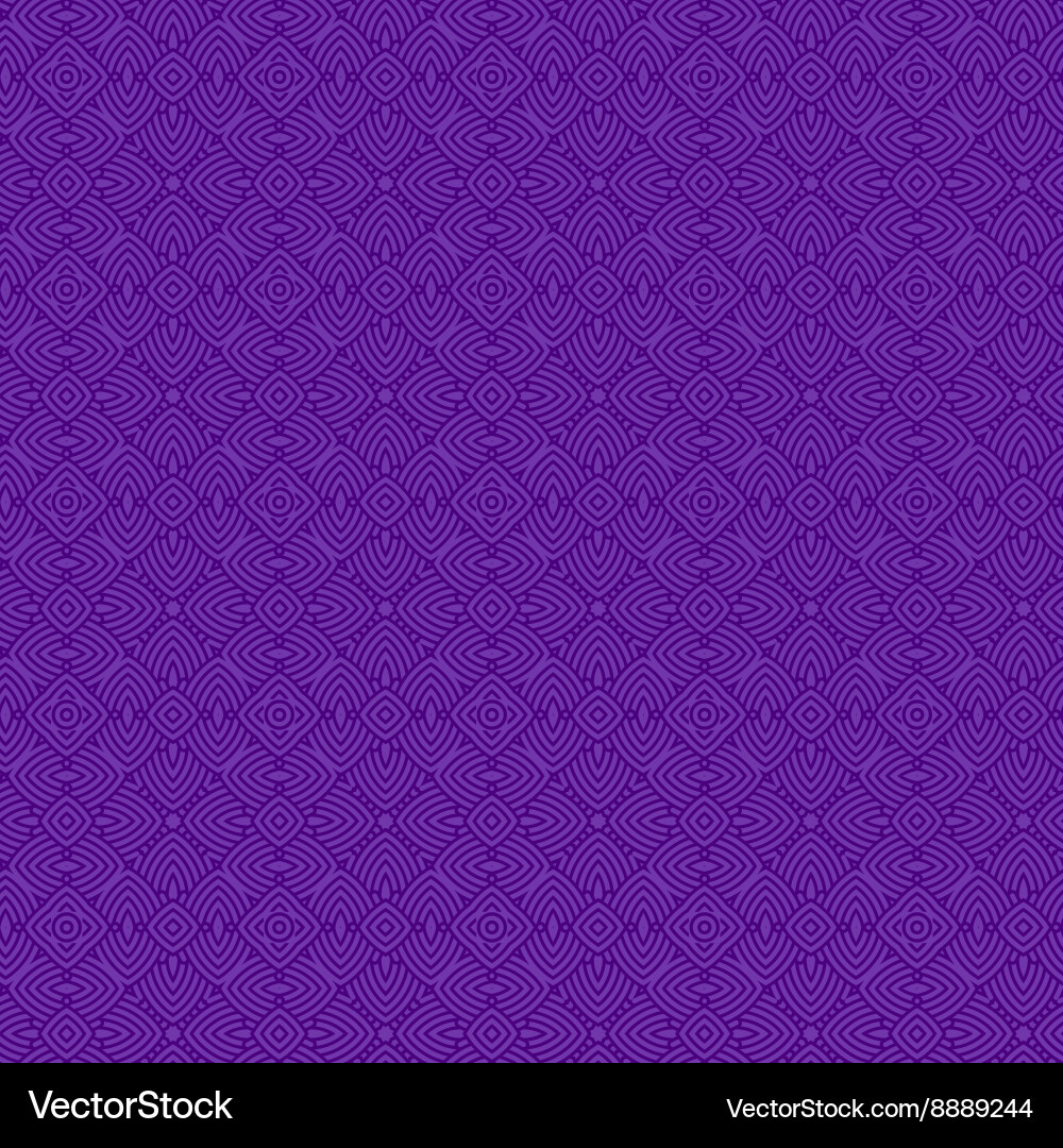 Intricate Ethnic Pattern vector image