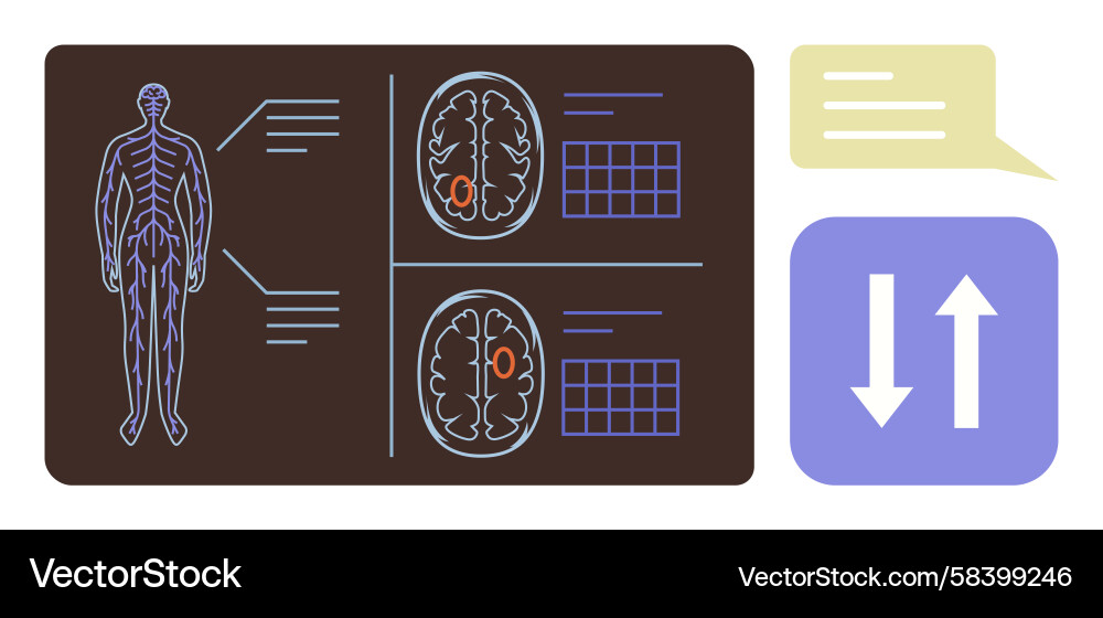 Anatomy & Brain Scan Data Chart Vector Image