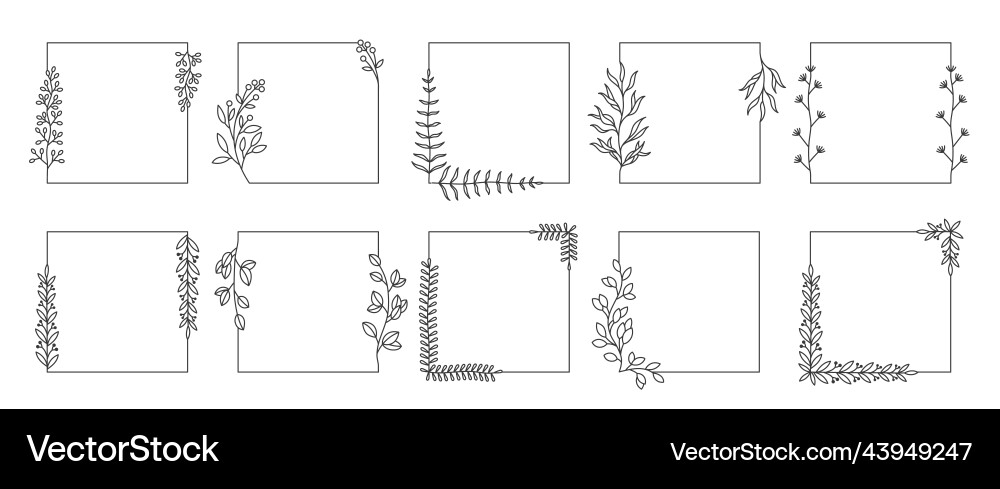 Quadratische botanische Rahmen Linie doodle Kräuter Quadratische botanische Rahmen Linie doodle Kräuter vektorbild