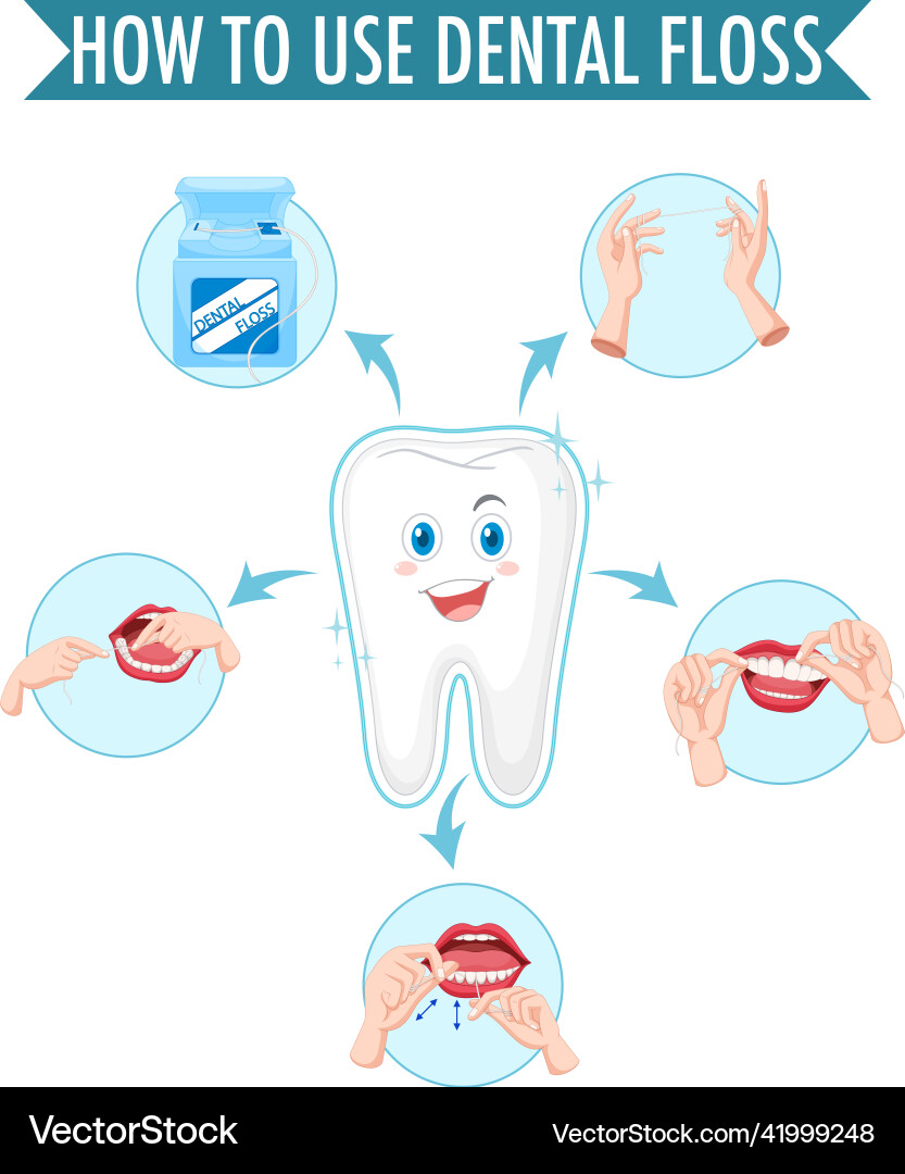 Clean tooth and process of flossing on white Vector Image