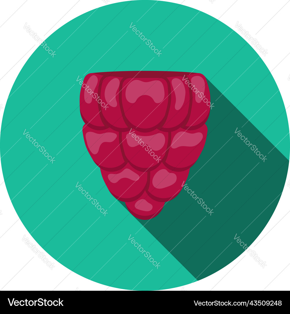 Icon of raspberry in ui colors Icon of raspberry in ui colors vector image