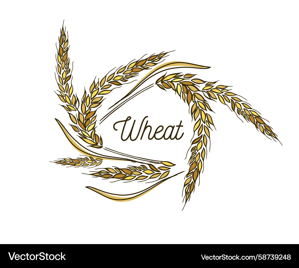 Wheat frame abstraction hand drawn not ai Vector Image