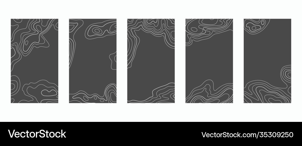 Contour lines on topographic maps geographic map Vector Image