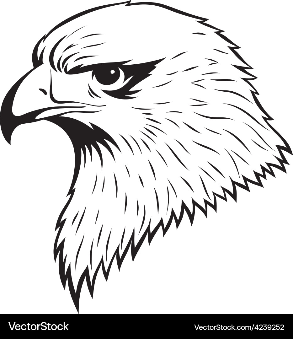 Eagle head Royalty Free Vector Image - VectorStock