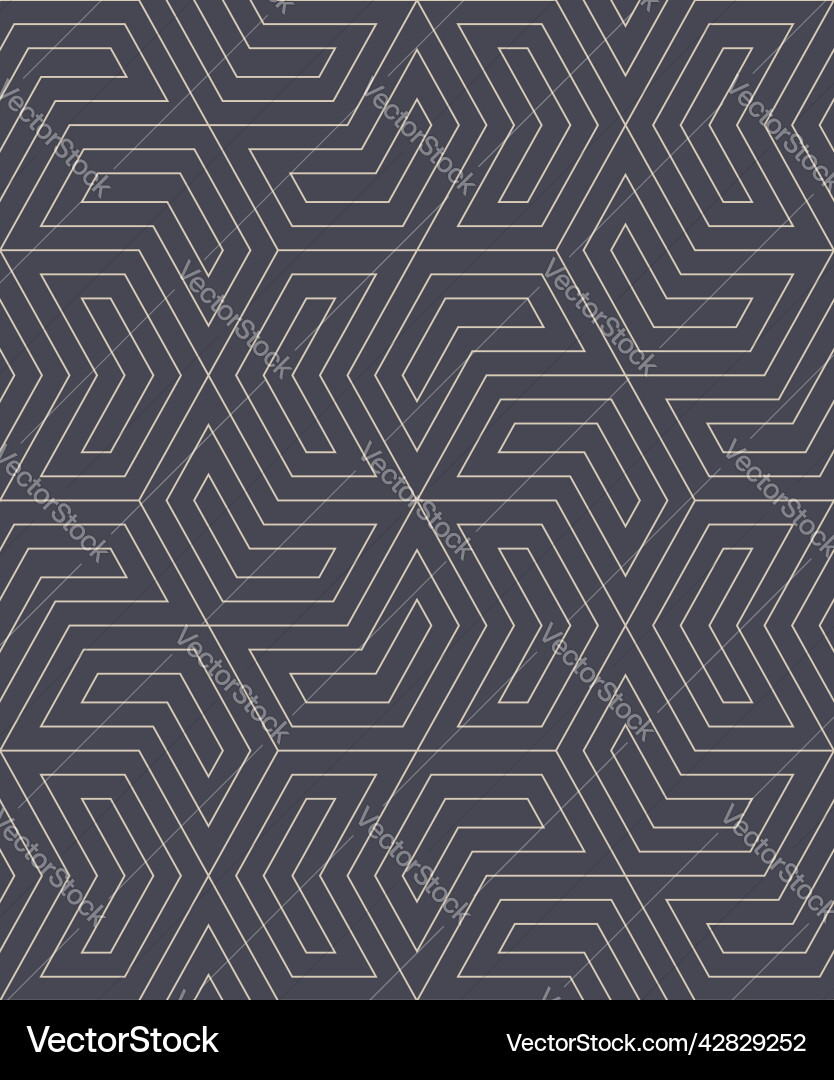 Geometric Linear Pattern vector image