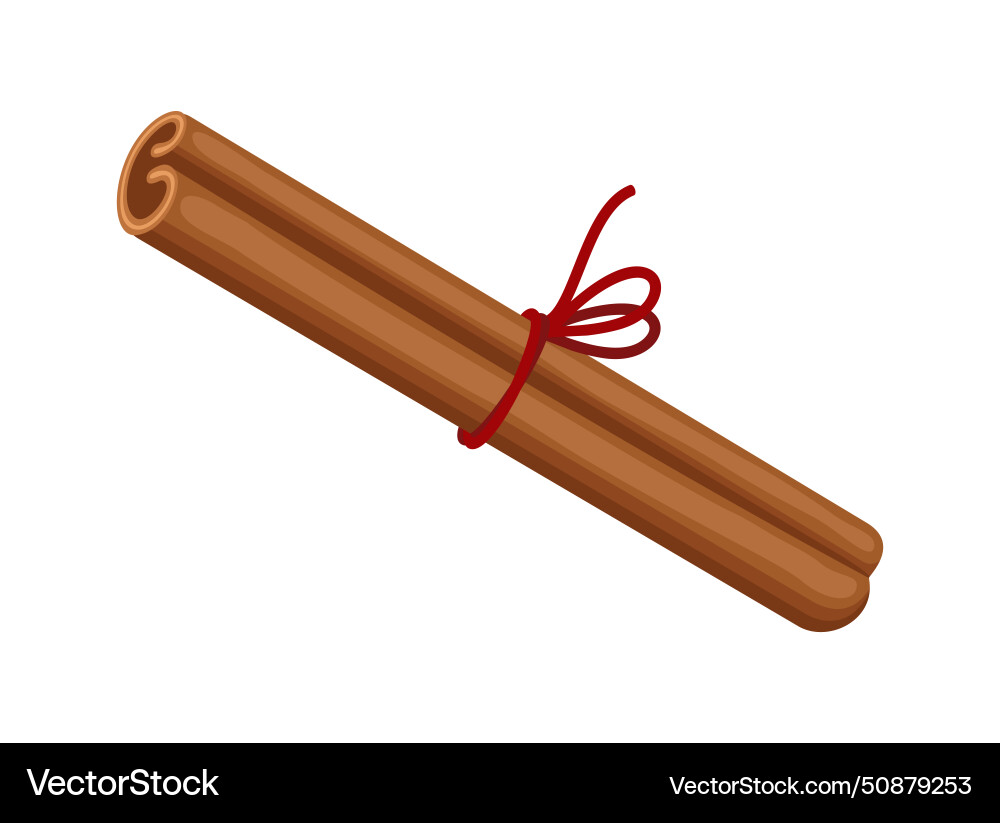 A cinnamon stick tied with red string Vector Image