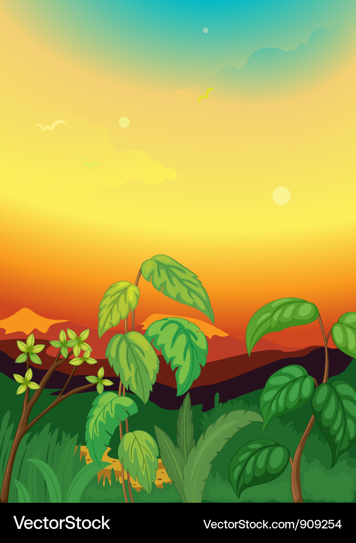 Jungle Sunset Landscape Vector Image