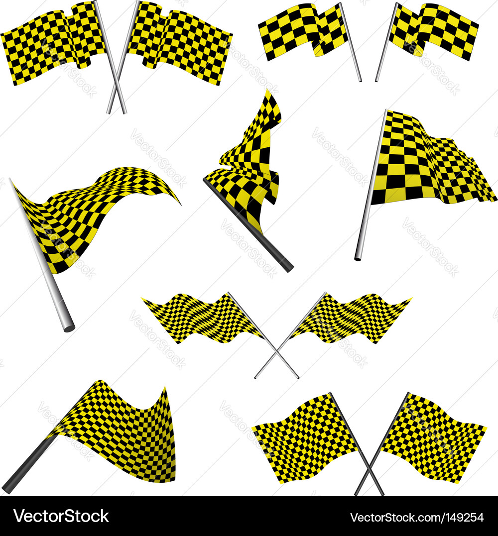 Racing Flags Set - Checkered Pattern vector image
