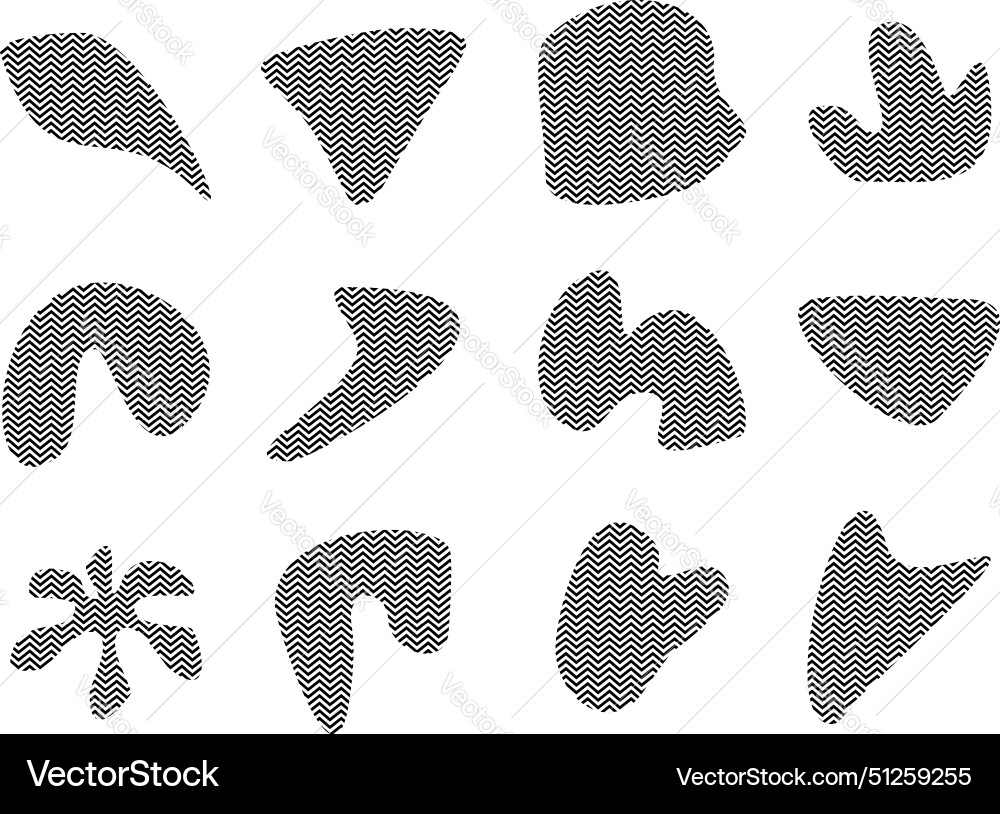 Blobs fluid shapes with zig zag stripes pictogram Blobs fluid shapes with zig zag stripes pictogram vector image
