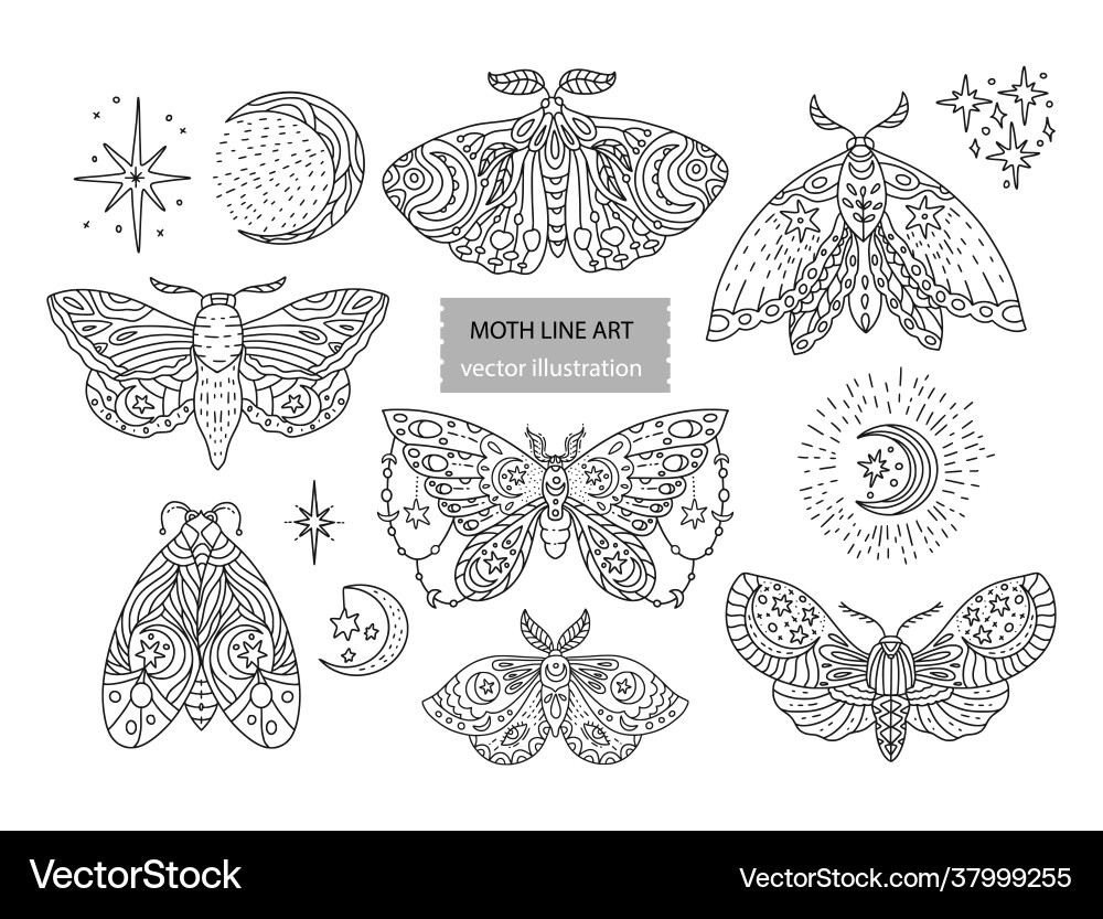 Boho butterfly set vector image