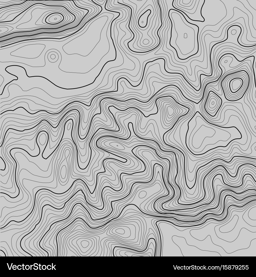 Topographic map background with space for copy vector image