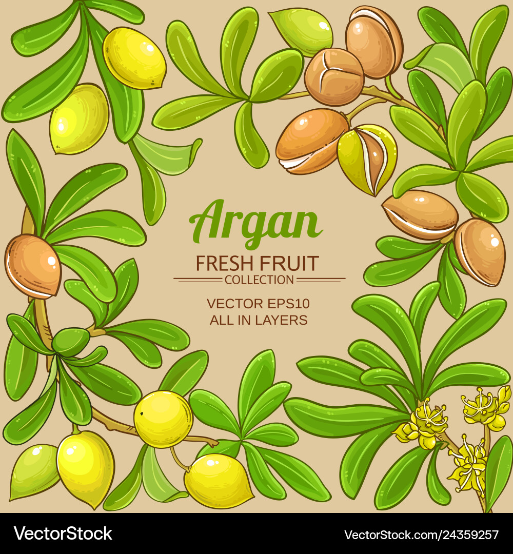 Argan branches frame on color background Argan branches frame on color background vector image