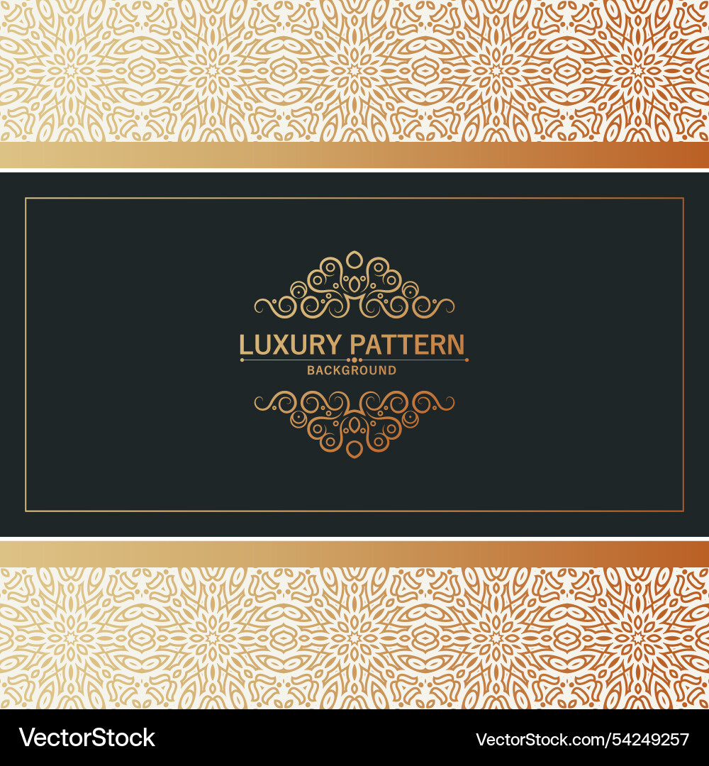 Elegant pattern style dark background Elegant pattern style dark background vector image