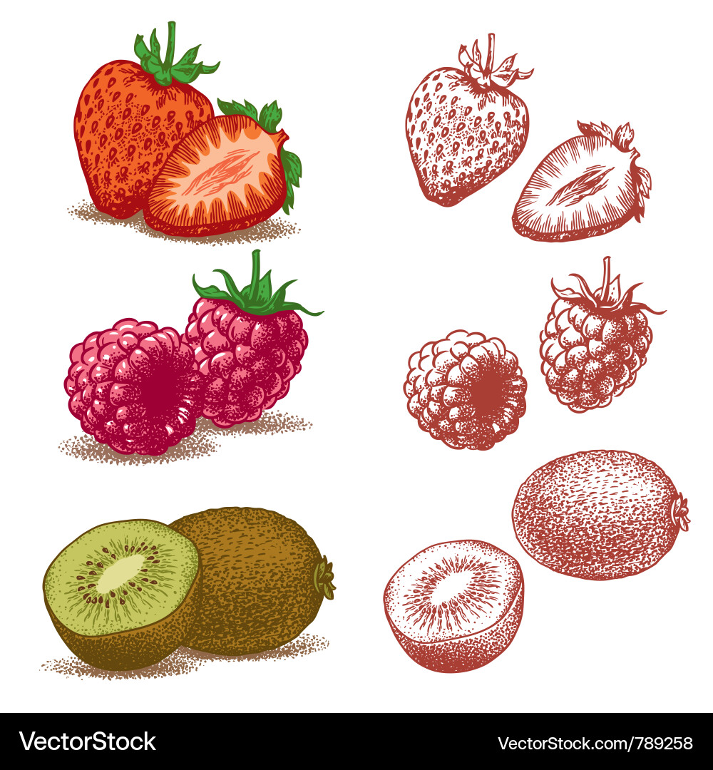 Fresh Berry Fruits - Strawberry, Raspberry, Kiwi vector image