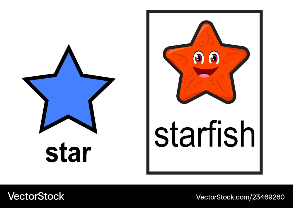 2d shape matching to real life object 2d shape matching to real life object vector image