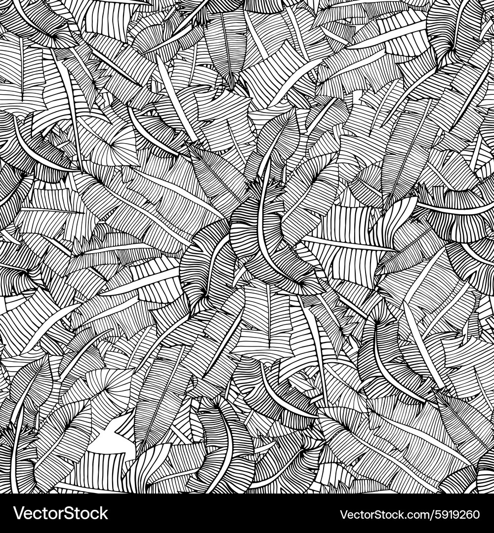 Feathers pattern Vector Image