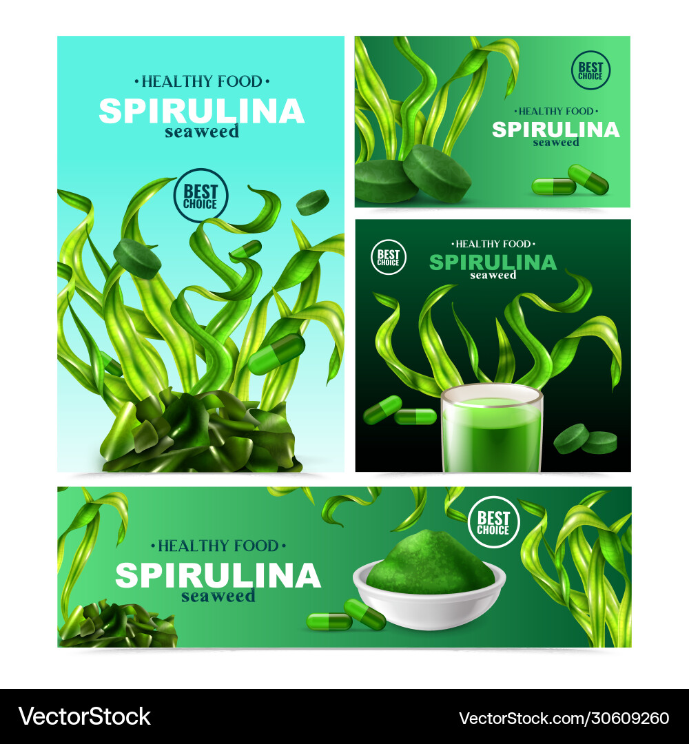 Realistic spirulina banners collection Realistic spirulina banners collection vector image