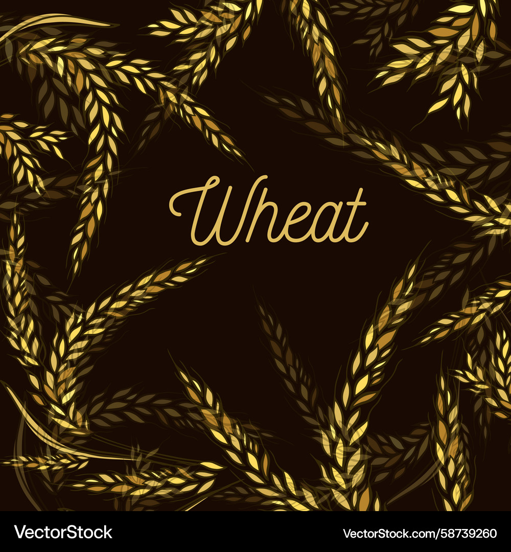 Wheat frame abstraction on a dark background hand Wheat frame abstraction on a dark background hand Vector Image