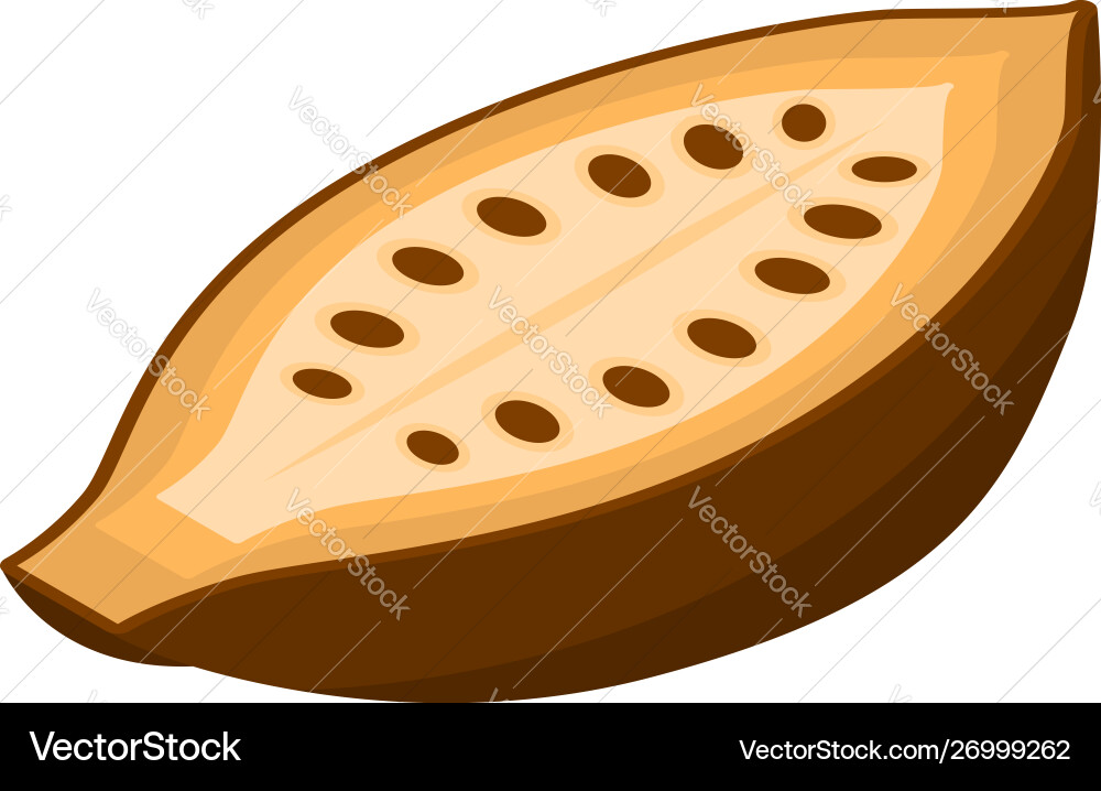 Half cocoa icon isometric style Half cocoa icon isometric style Vector Image