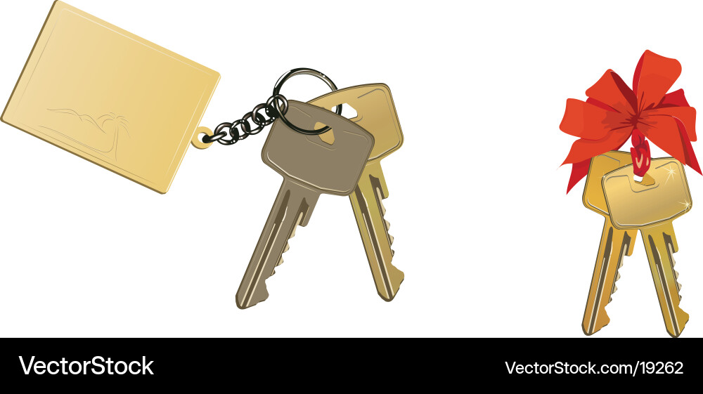 Set of Keys with Lock vector image
