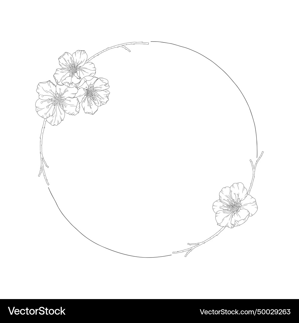 Blütenkranz Aprikosenblüten Knospen Blütenkranz Aprikosenblüten Knospen vektorbild