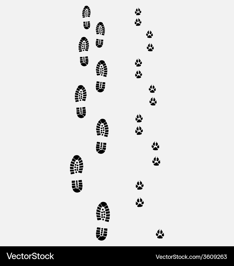 Dog and Human Footprints Vector Image