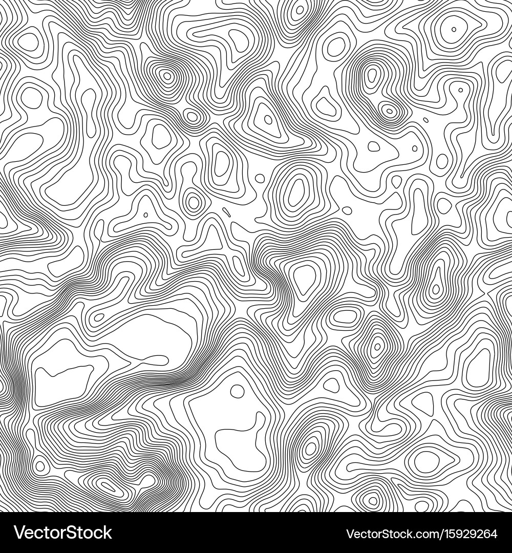 Seamless pattern topographic map background Vector Image