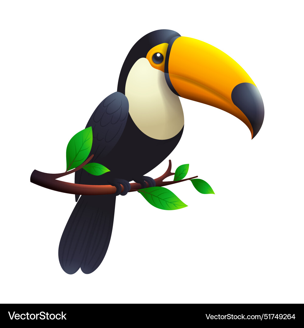 Toucan bird on a branch with realistic transparent Vector Image