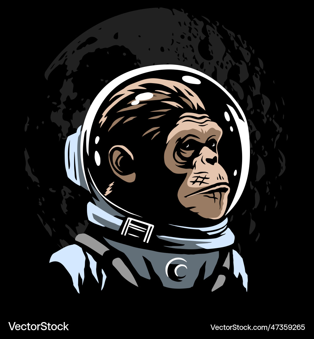 A monkey astronaut in spacesuit with helmet vector image