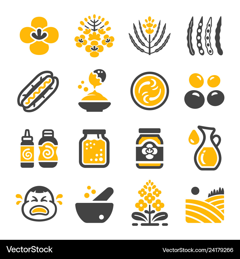 Mustard icon set Mustard icon set vector image