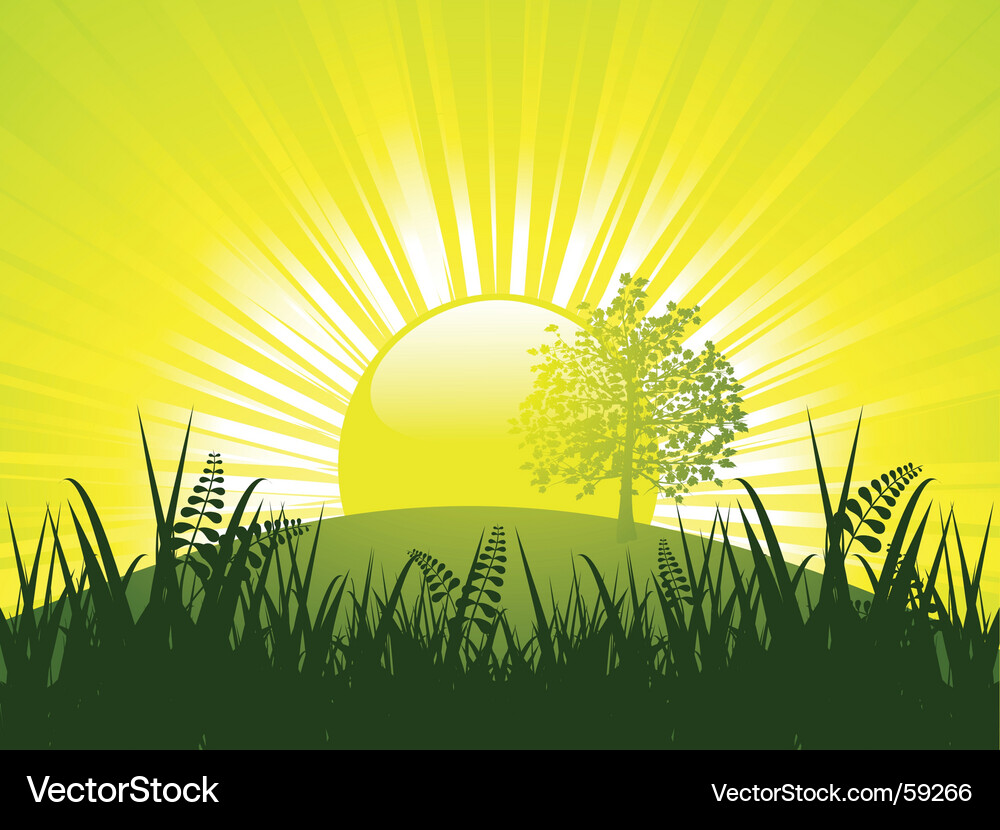 Sunset and tree Vector Image