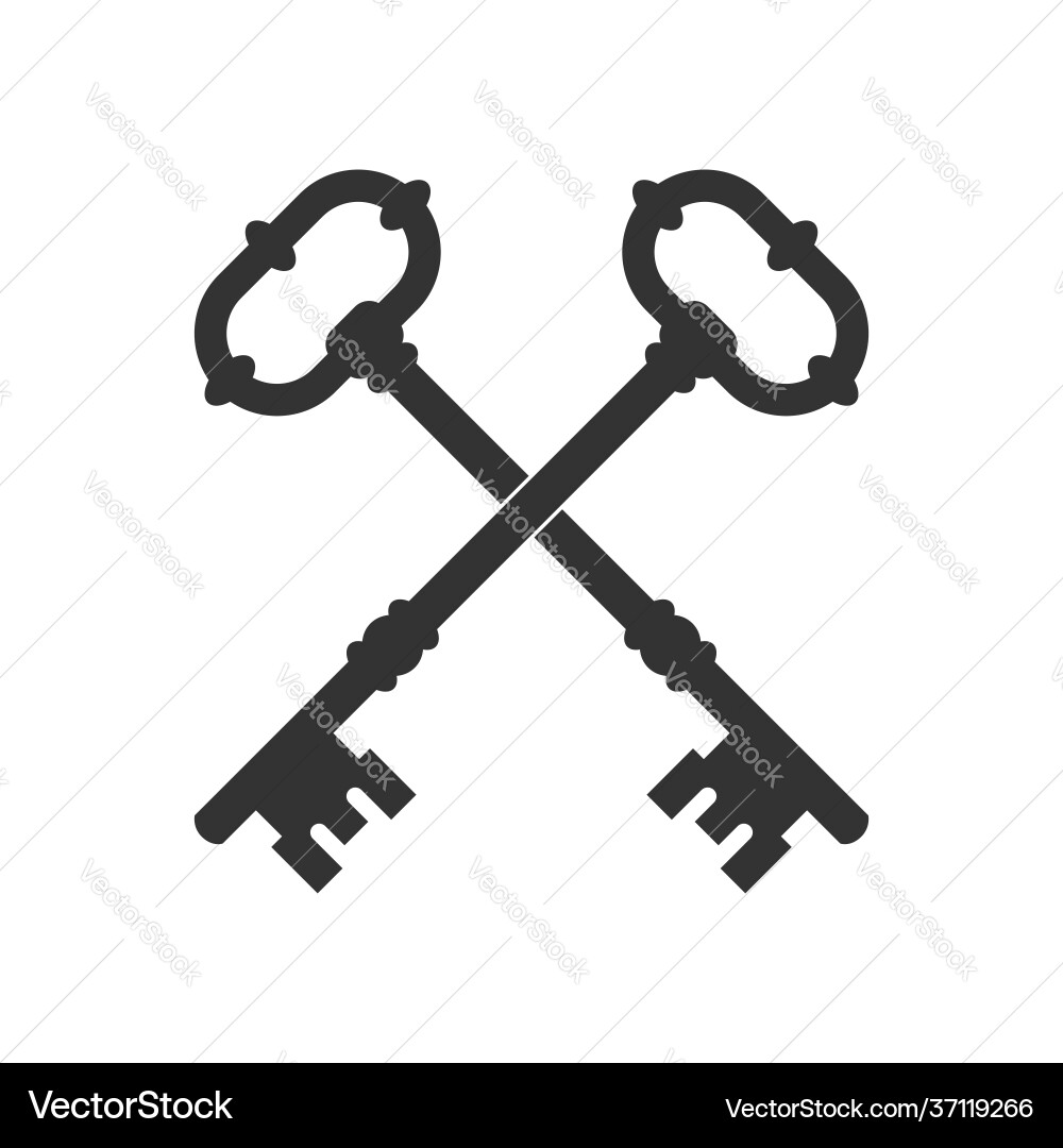 Two keys vector image